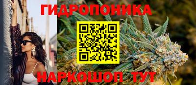 ПСИЛОЦИБИНОВЫЕ ГРИБЫ Дубна