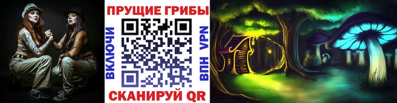 где купить наркоту  Коркино  Псилоцибиновые грибы прущие грибы 