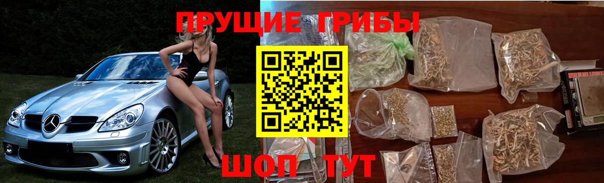 Псилоцибиновые грибы мухоморы Коркино