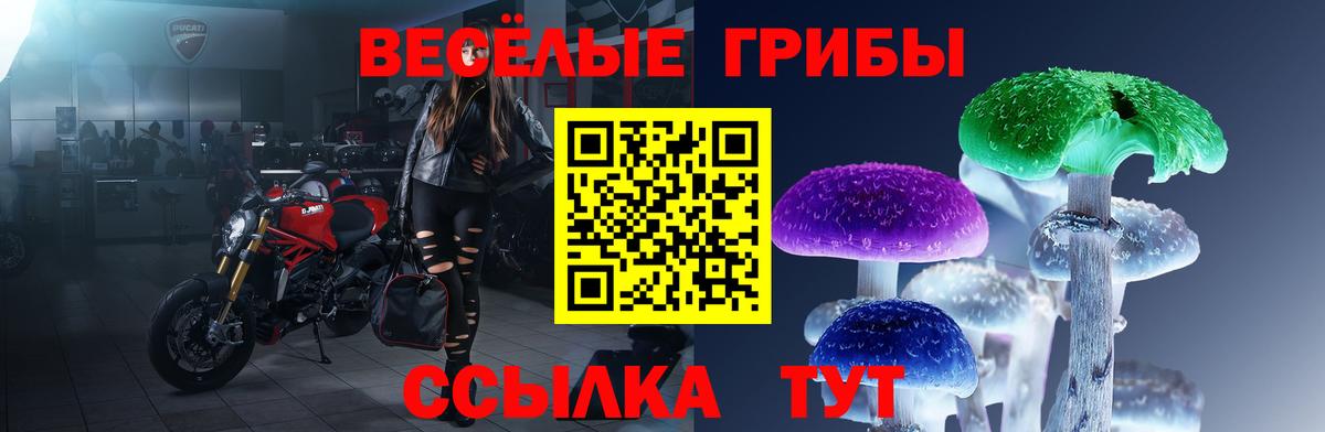Галлюциногенные грибы мицелий  Псилоцибиновые грибы прущие грибы  Коркино  Вход с VPN 